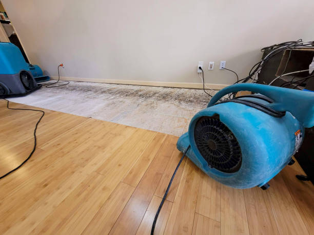 Reliable Basement Flood Cleanup contractor in Concord, NH by Hirex Water Damage