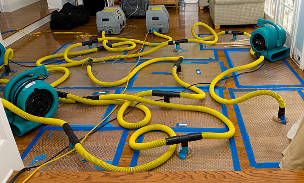 Professional Basement Flood Cleanup technician working in Concord, NH